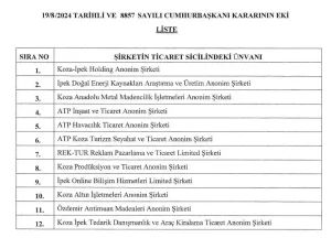 ekonomist-image-81-44b8726479734e-300x216 Türkiye Varlık Fonu'na 12 Şirketin Hisseleri Devredildi